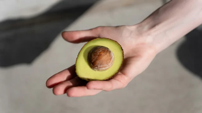 Avocado auf einer Handfläche